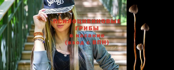 кристаллы Гусев