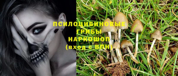 каннабис Гусиноозёрск