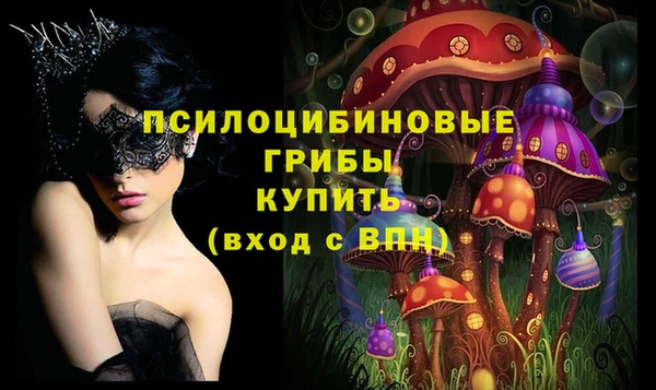 экстази Гусь-Хрустальный