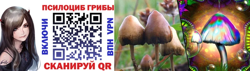 Галлюциногенные грибы MAGIC MUSHROOMS  купить закладку  Холмск 