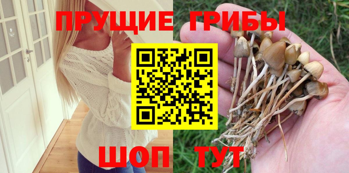 Псилоцибиновые грибы MAGIC MUSHROOMS Холмск